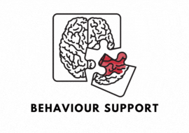 Behaviou Support